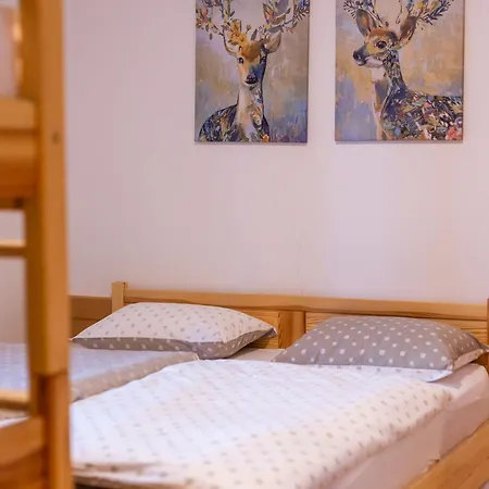 Apartman Bolfenk Snowflake App Hocko Pohorje