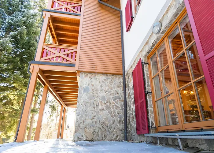 Bolfenk Snowflake App * Hočko Pohorje