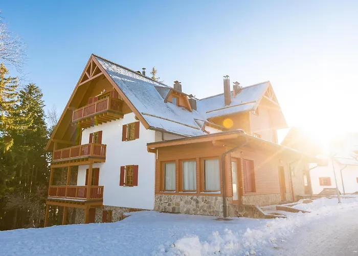 Bolfenk Snowflake App * Hočko Pohorje