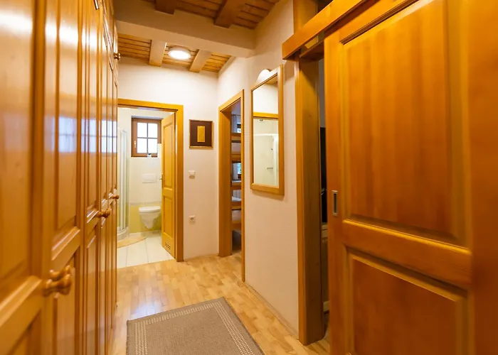 Bolfenk Snowflake App